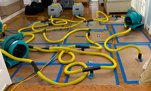 Professional Crawl Space Water Removal technician working in Webberville, MI